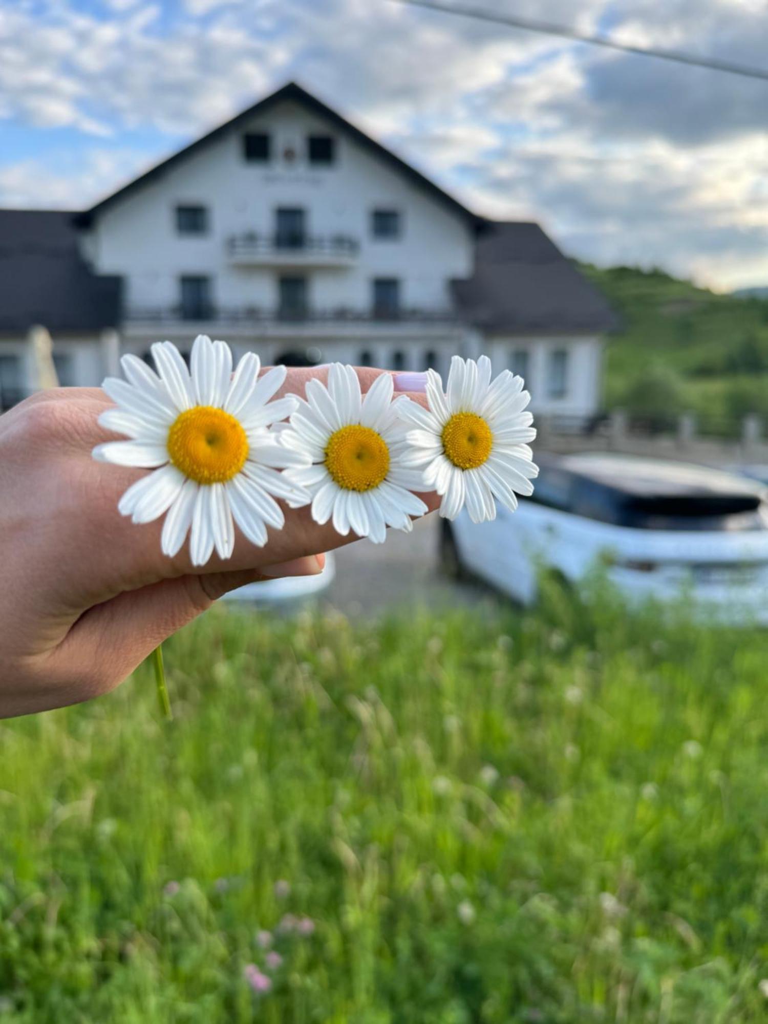 Evenimente Edelweiss Hotel Bogdan Voda Bagian luar foto