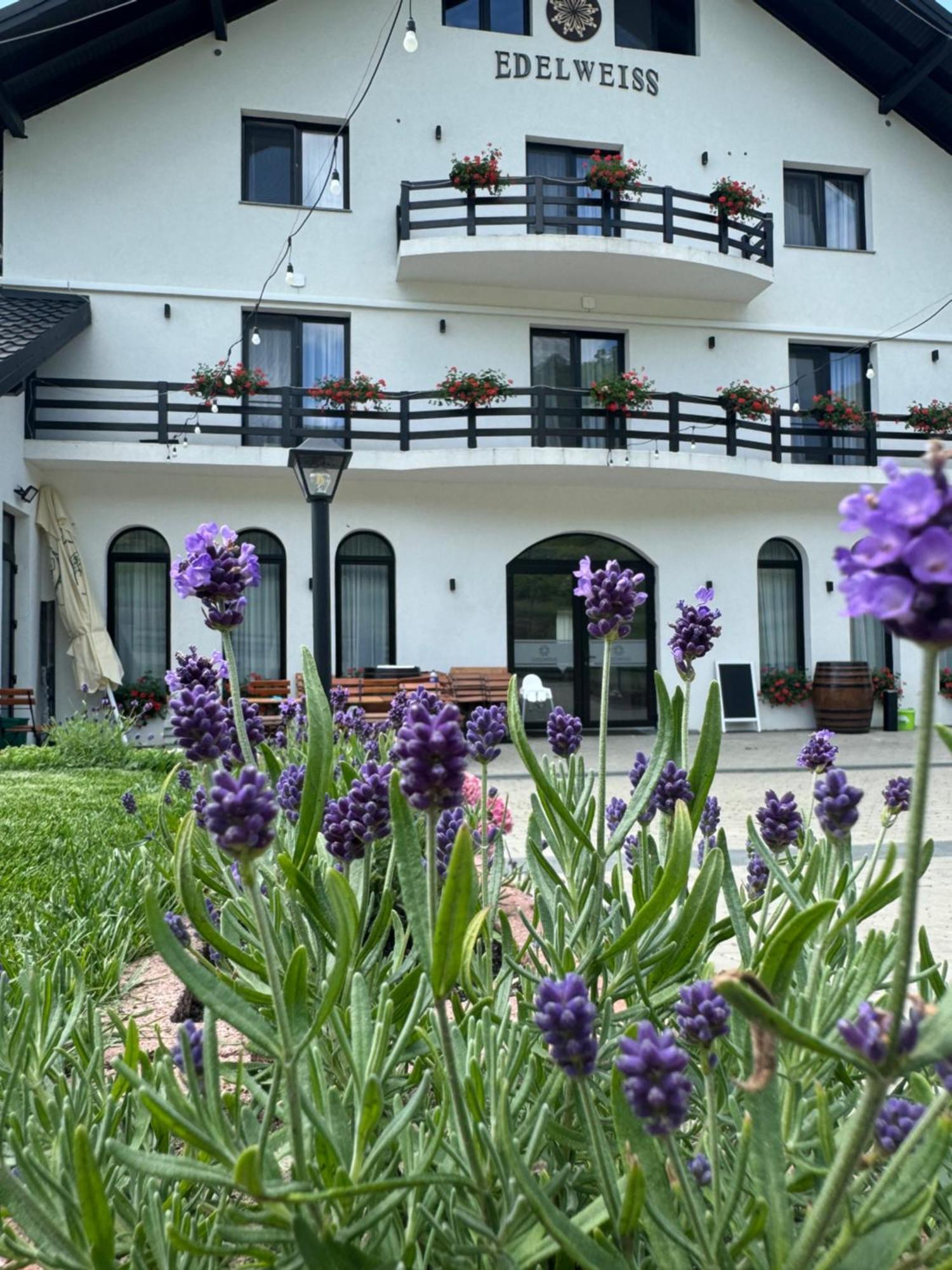 Evenimente Edelweiss Hotel Bogdan Voda Bagian luar foto