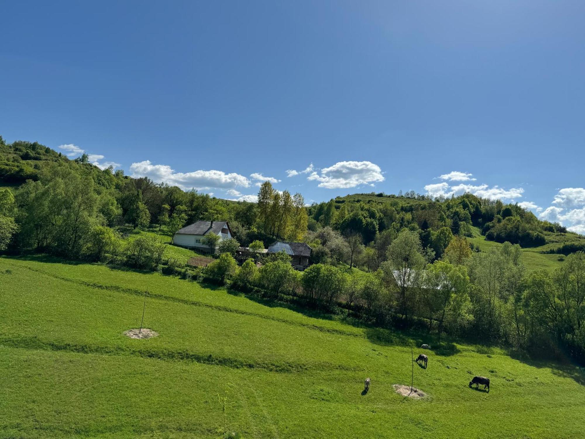 Evenimente Edelweiss Hotel Bogdan Voda Bagian luar foto